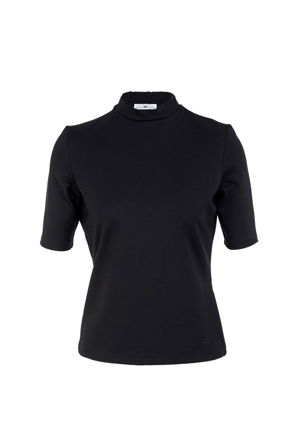 Turtle-neck-top-web