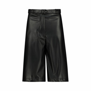 Augite Shorts